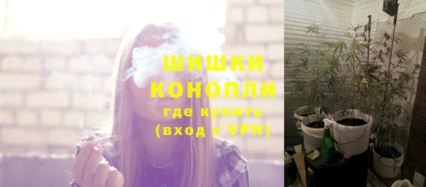 бошки Балахна