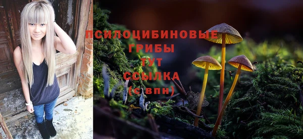 СК Баксан