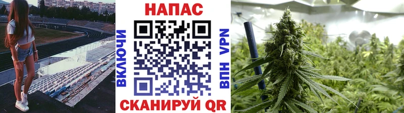 Бошки Шишки ГИДРОПОН это как зайти Гаврилов-Ям